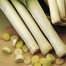 Beautiful leeks